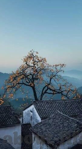 女子u17世界杯比分在乌拉圭-乌拉圭女子U17世界杯比分，激情与梦想的碰撞
