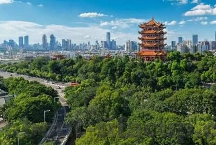 足球比分vs9o比分网-足球比分实时追踪，9o比分网——球迷的赛事指南针